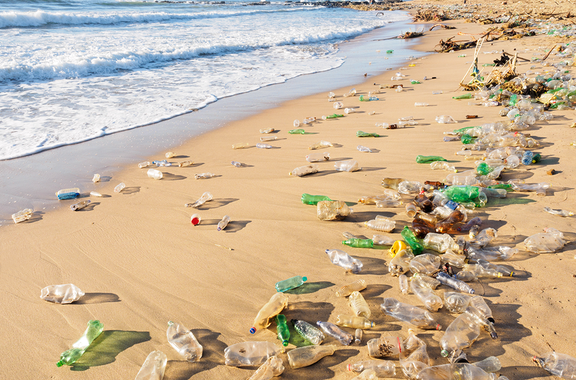 Impactos Causados ​​pelos Produtos Descartáveis ​​no Meio Ambiente