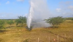 Adutora