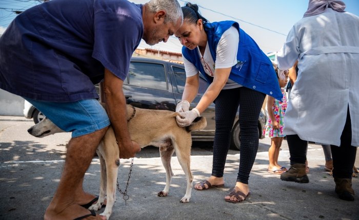 Mais de 90 mil animais, entre cães e gatos, foram vacinados