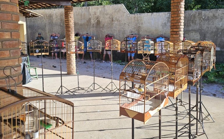 PM combate crimes ambientais durante ações no interior e Região Metropolitana