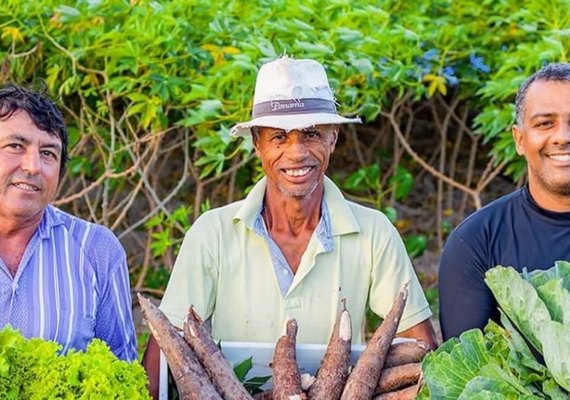 Transformação no campo: Arapiraca amplia Cinturão Verde e gera mais empregos e renda no meio rural