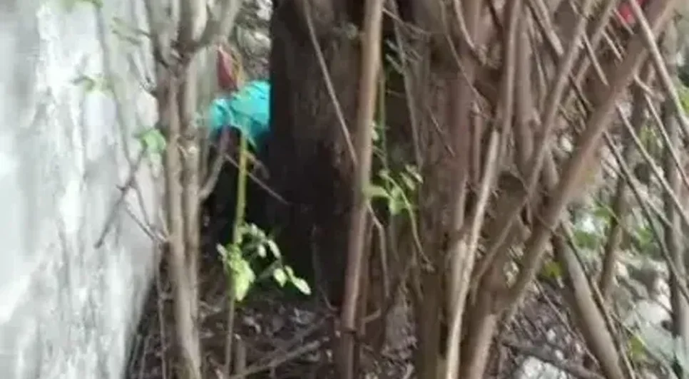 Vítima foi encontrada em terreno