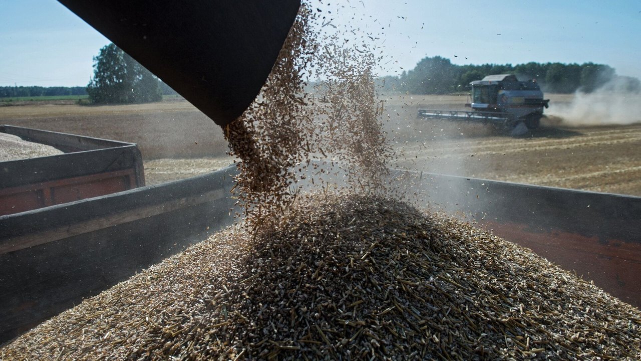 Ásia, África e Oriente Médio elevam compras de alimentos da Rússia