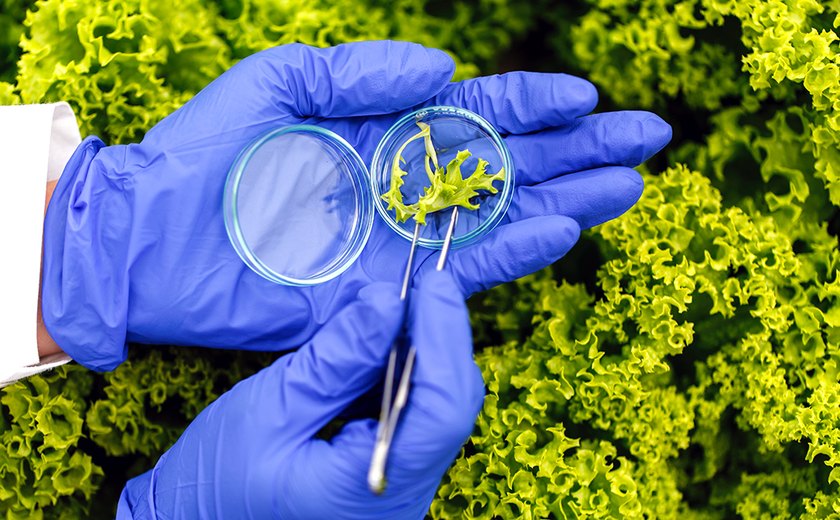 Governo lança política para incentivar o uso de bioinsumos