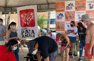 Mais de 50 animais têm novo lar com Feira de Adoção da Prefeitura