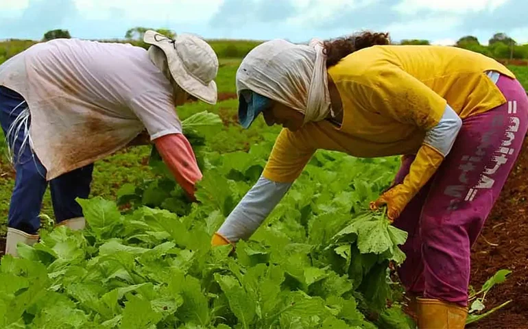 Embrapa inicia construção de nova unidade de pesquisa em Alagoas