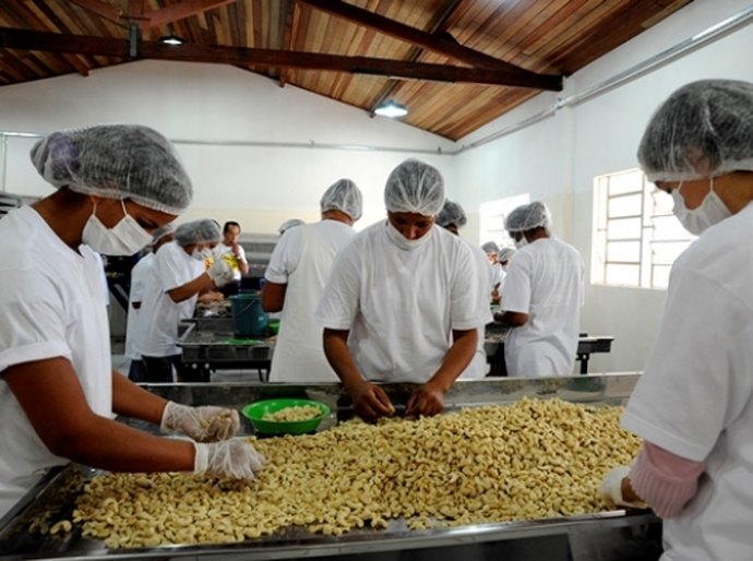Fábrica de castanha será inaugurada segunda(14), em Estrela de Alagoas