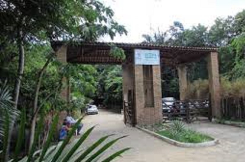 Parque Municipal estará fechado para visitação; saiba os dias
