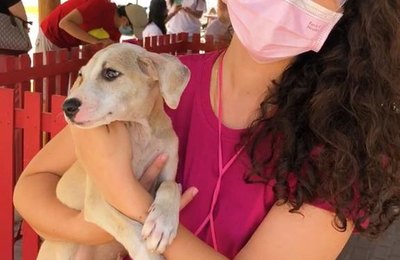 Maceió terá 200 castrações gratuitas para cães e gatos de famílias carentes   