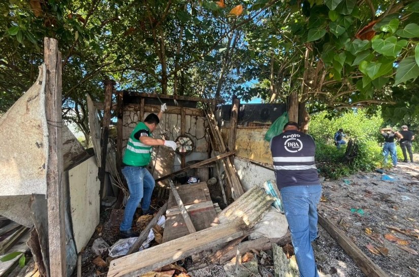 Segurança Cidadã apreende drogas e remove barracos irregulares no Vergel do Lago