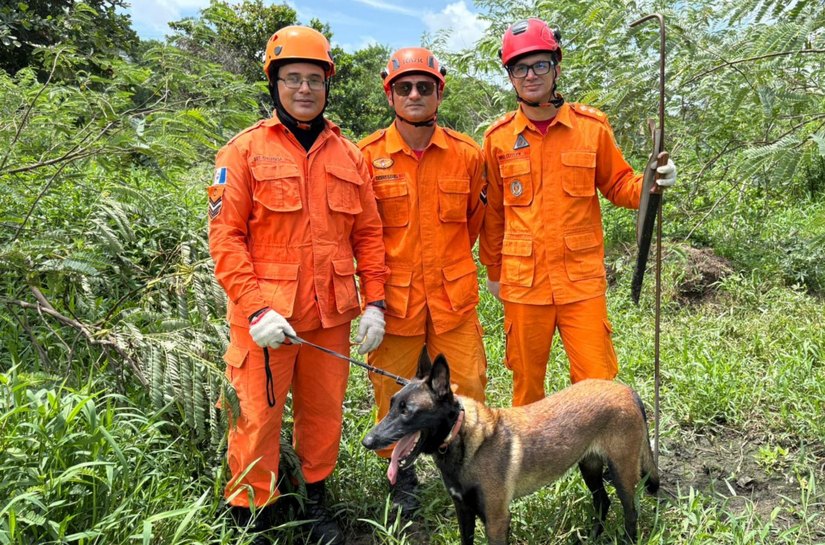 Cães farejadores do Corpo de Bombeiros desempenham papel fundamental em buscas e salvamentos em Alagoas