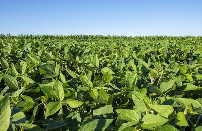 Agricultura familiar ganha plataforma para ajudar na divulgação de produtos agrícolas de Alagoas 