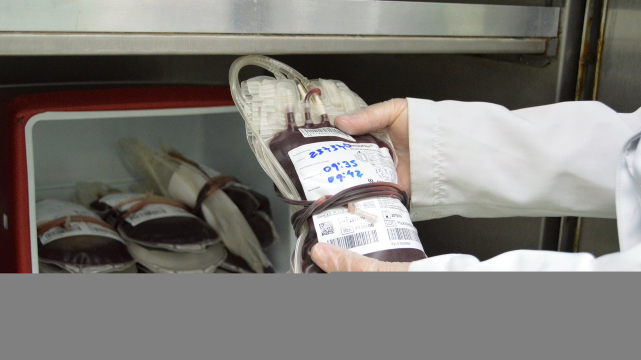 Hemoal necessita doações de sangue para o Carnaval