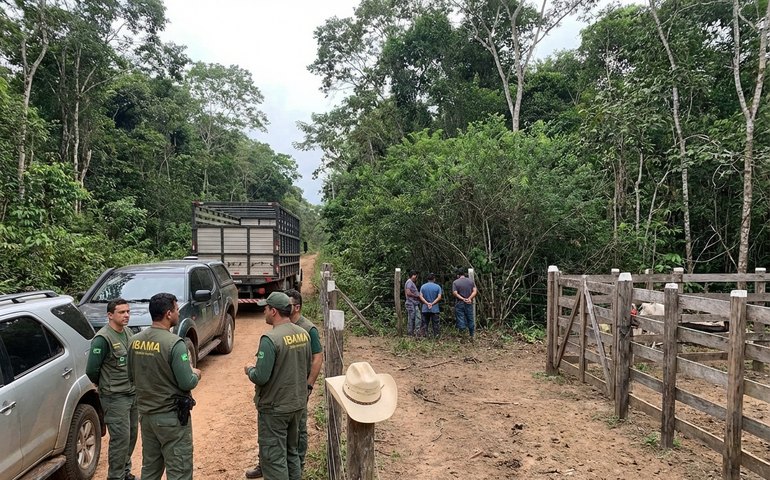 Vaqueiro contratado pelo Ibama é morto durante operação no Pará