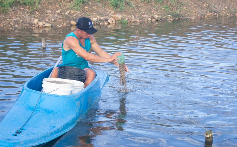 Prefeitura investe em assessoria técnica para produtores de camarão do Agreste