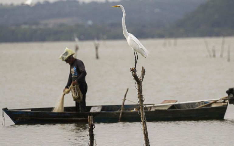 Mudanças aprovadas para o seguro-defeso previnem fraudes, diz relator
