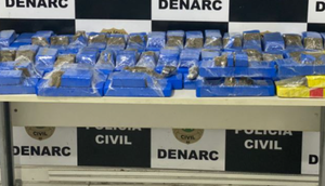 Cerca de 50 quilos de maconha são apreendidos durante operação policial em Itabaiana e Aracaju / Foto: Foto: Polícia Civil/SE