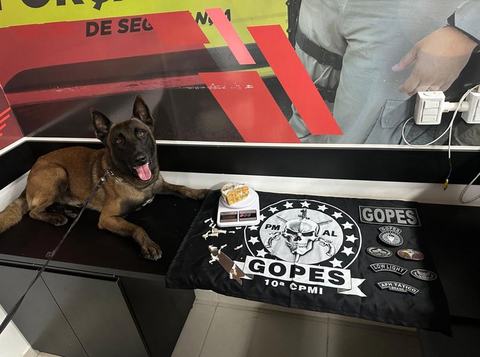 Polícia Militar apreende quatro armas, mais de 1 kg de drogas e recupera veículo roubado em operações