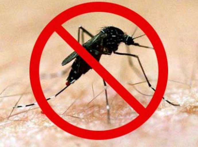 Fóruns debatem o combate e cuidados contra o Aedes aegypti