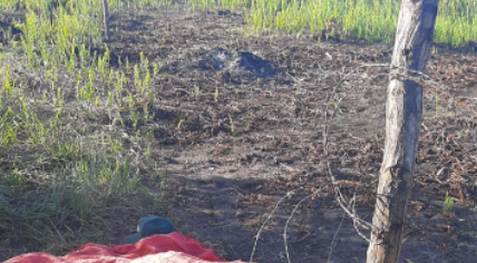Homem é encontrado morto enquanto trabalhava em Santo Amaro das Brotas / Foto: Foto: Polícia Militar/SE