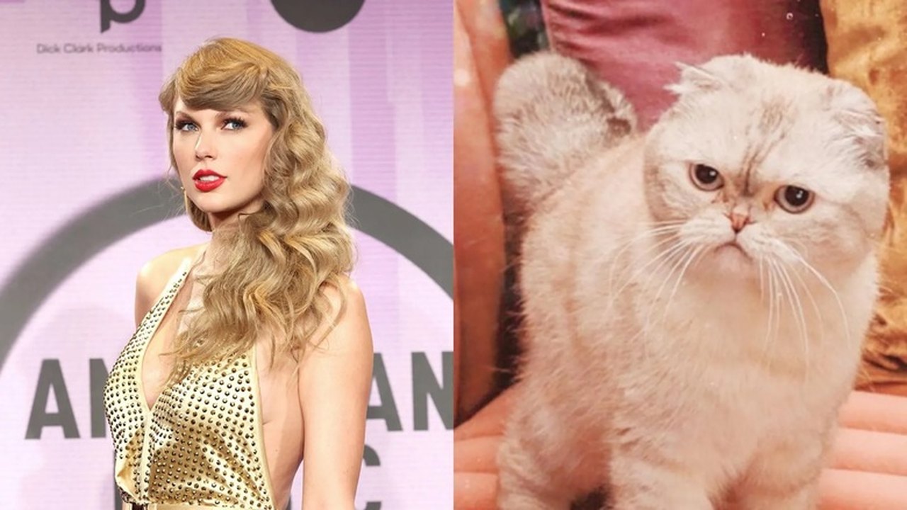 Gata de Taylor Swift tem R$ 521 milhões em patrimônio