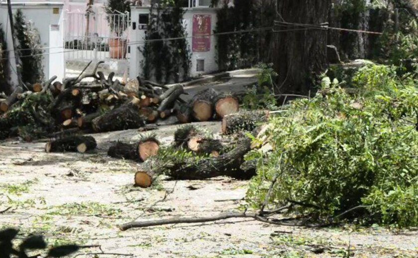 São Paulo: chuva deixa mais de meio milhão de pessoas sem energia elétrica