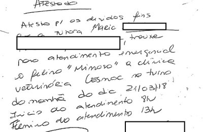 Prefeito Renato Filho abre processo administrativo para apurar mais de 1.300 atestados médicos