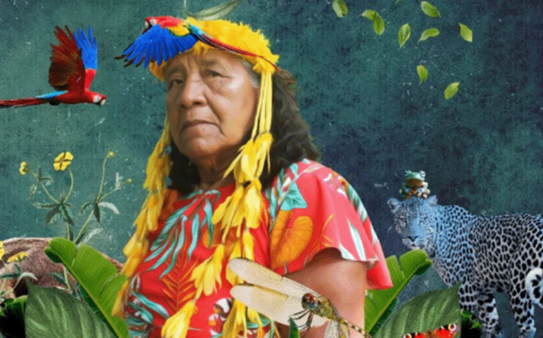 São Paulo celebra Agosto Indígena 