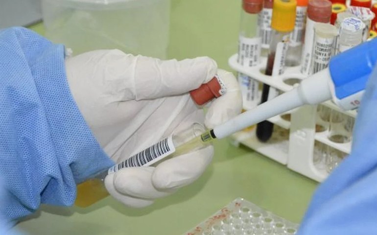 Palmeira dos Índios lidera o número de casos de Febre Oropouche no Estado