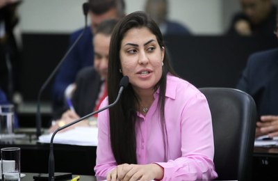 Discutido projeto que institui a Política Estadual de Atenção, Cuidados e Proteção da Saúde Mental