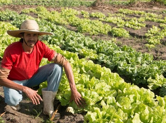 Governo muda cenário alagoano com ações para interiorizar o desenvolvimento
