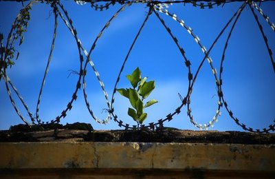 Ufal recebe seminário internacional sobre insegurança e punição