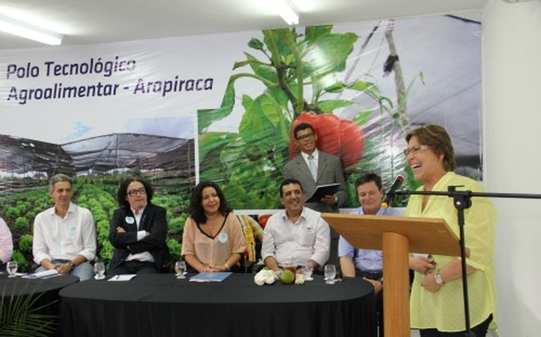 Pesquisa no campo: Arapiraca vira Polo Tecnológico Agroalimentar