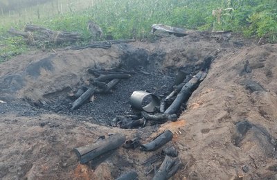 Operação Protetor dos Biomas intensifica combate a crimes ambientais em Alagoas