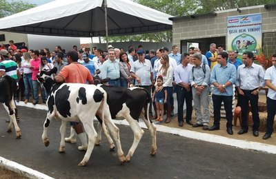 Expo Bacia Leiteira é aberta com desfile de animais, cursos e exposições