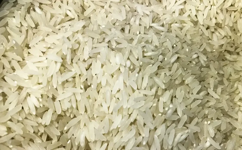 A sociedade dos sobrevivencialistas: por que pessoas são atraídas por esse estilo de vida?