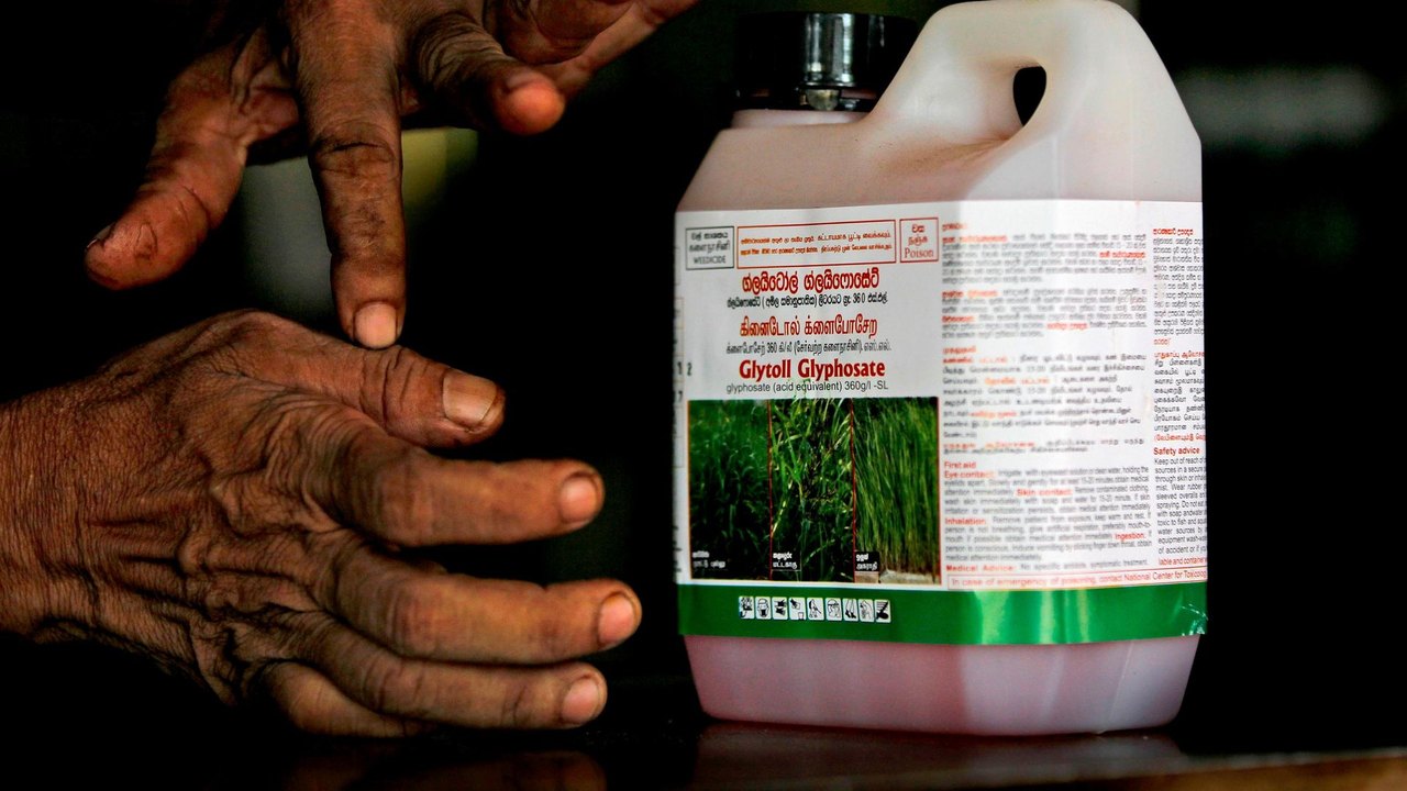 Atuação da OCDE em caso de envenenamento por agrotóxicos evidencia sua ineficácia, diz especialista