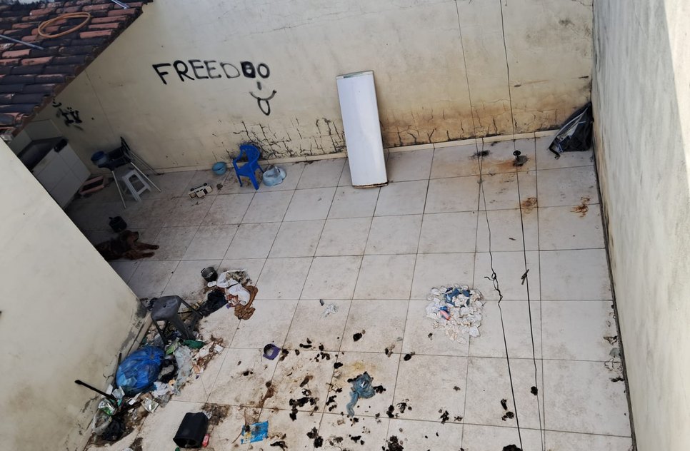 Policiais constataram as más condições do cachorro / Foto: Foto: SSP