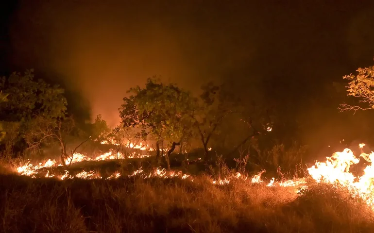Chuva preta: fuligem da queimada da Floresta Amazônica atinge o Rio Grande do Sul