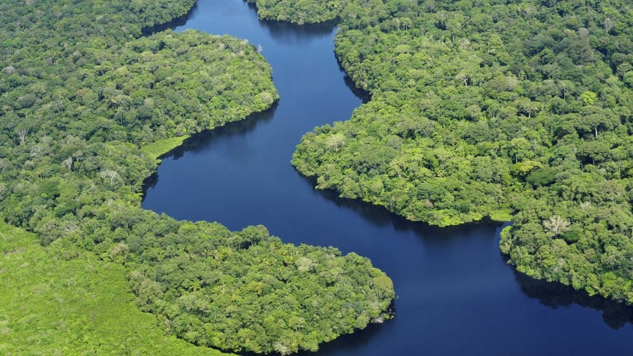 Desmatamento na Amazônia aumenta 64%