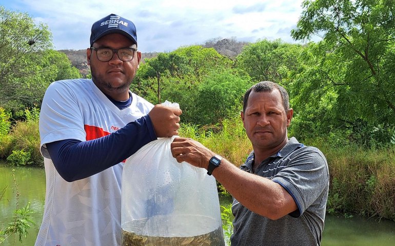 Entrega de alevinos combate à fome de mais de mil famílias alagoanas