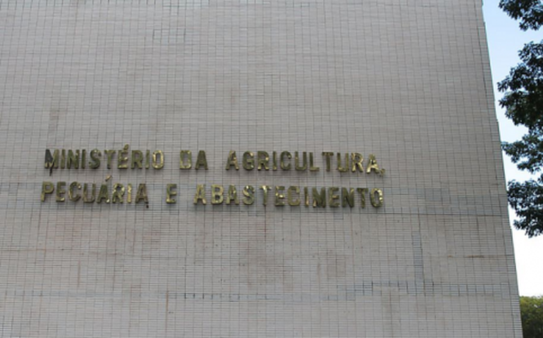 Agricultura coloca em consulta pública regulamento técnico para carne moída