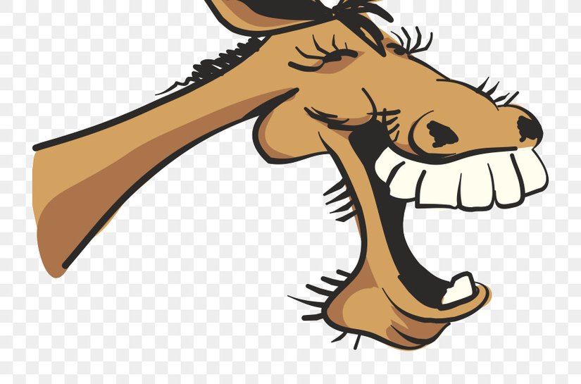Crônica: O Mata-burro