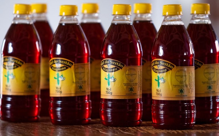 Alagoas Maior: Coopeapis bate marca de venda de 5 toneladas de mel para doação