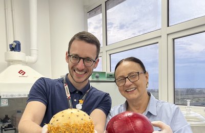 Projeto paranaense leva novos sabores à elite francesa do queijo