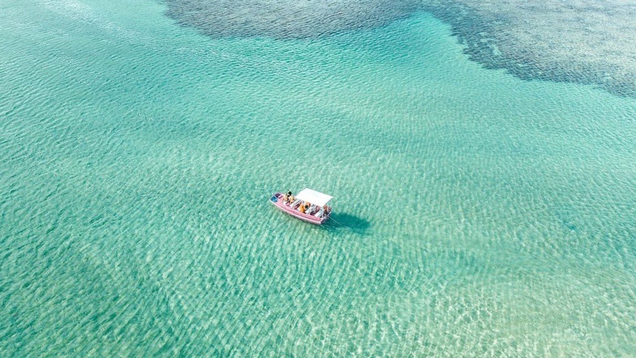 Destino Alagoas é atração da Feira de Turismo de Ribeirão Preto