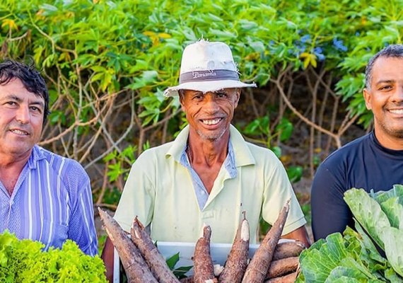 Arapiraca amplia Cinturão Verde e gera mais empregos e renda no meio rural