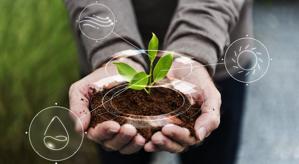 agricultura-inteligente-iot-com-fundo-de-arvore-de-plantio-a-mao / Foto: <a href="https://br.freepik.com/fotos-gratis/agricultura-inteligente-iot-com-fundo-de-arvore-de-plantio-a-mao_17121716.htm#query=agricultura&from_query=agritech&position=13&from_view=search&track=sph">Imagem de rawpixel.com</a> no Freepik