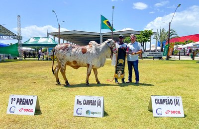 73ª Expoagro Alagoas dará pontapé na 1ª etapa do Circuito Gir Leiteiro 23/24