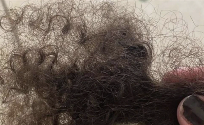 Criança negra tem cabelo cortado ao voltar da escola Criança negra tem cabelo cortado ao voltar da escola
